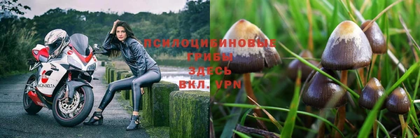 дживик Осинники